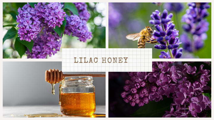 Lilac Infused Honey Recipe