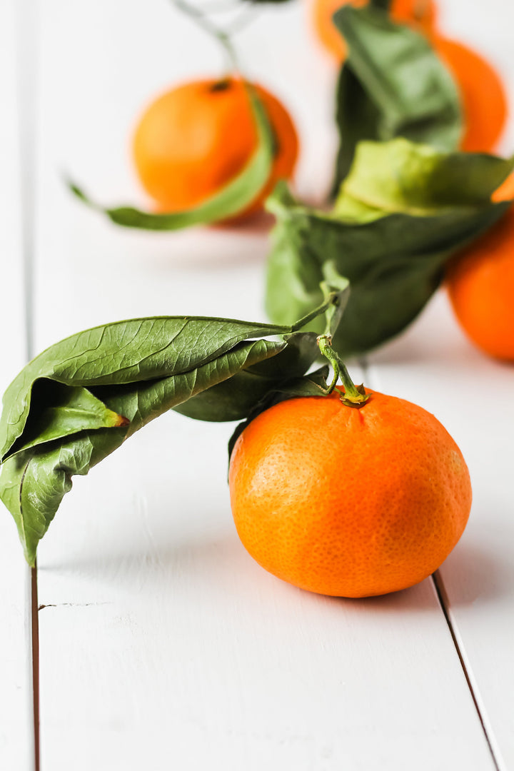 Tasty Bitters Tincture Recipe